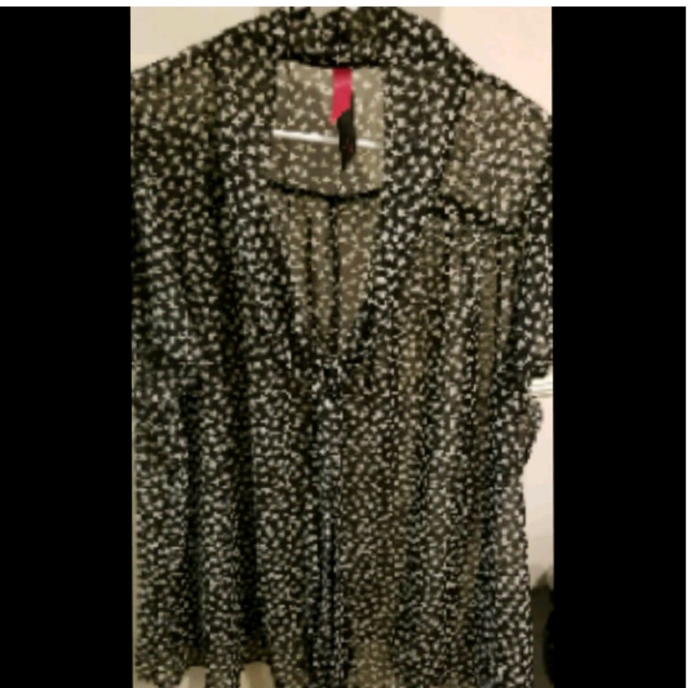 Sheer button down blouse